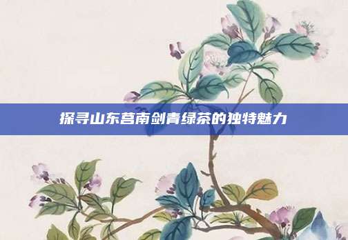 探寻山东莒南剑青绿茶的独特魅力