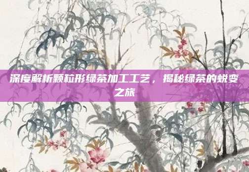 深度解析颗粒形绿茶加工工艺，揭秘绿茶的蜕变之旅