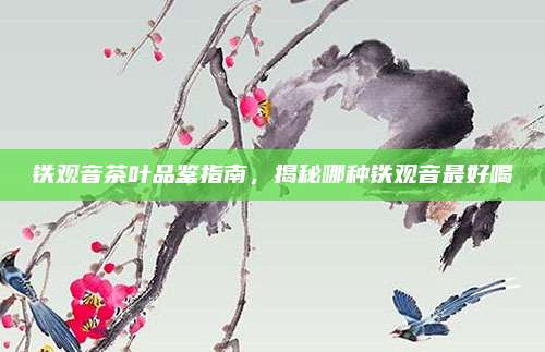 铁观音茶叶品鉴指南，揭秘哪种铁观音最好喝