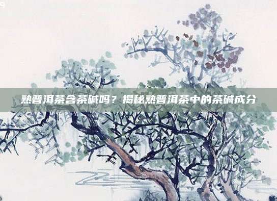 熟普洱茶含茶碱吗？揭秘熟普洱茶中的茶碱成分