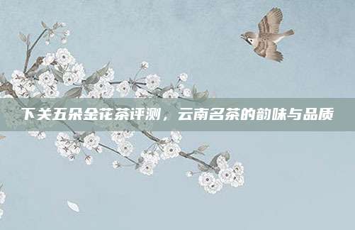 下关五朵金花茶评测，云南名茶的韵味与品质