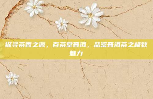 探寻茶香之源，百茶堂普洱，品鉴普洱茶之极致魅力