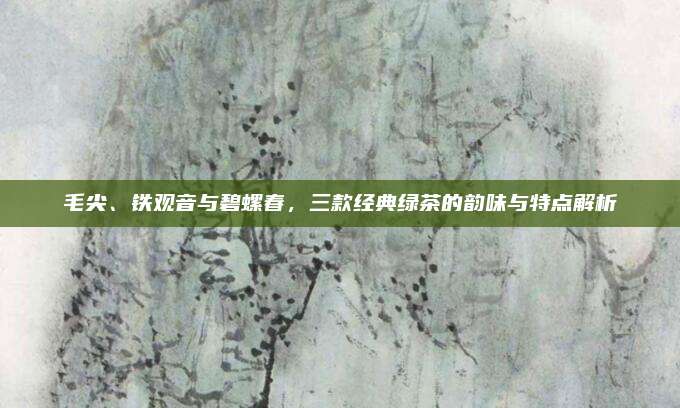 毛尖、铁观音与碧螺春，三款经典绿茶的韵味与特点解析