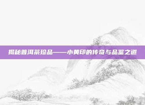 揭秘普洱茶珍品——小黄印的传奇与品鉴之道