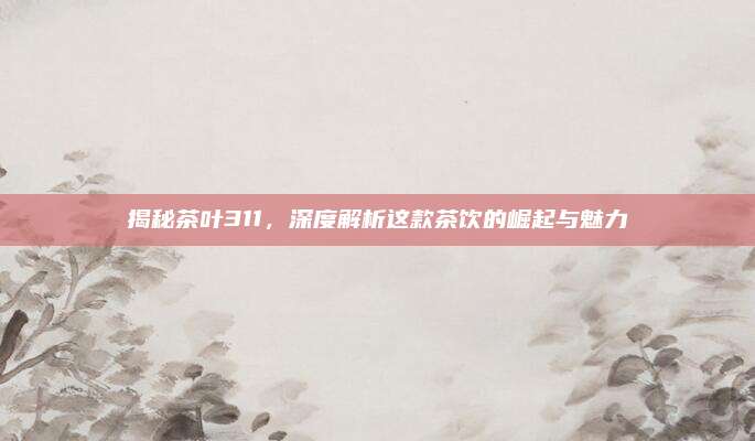 揭秘茶叶311，深度解析这款茶饮的崛起与魅力
