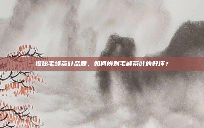 揭秘毛峰茶叶品质，如何辨别毛峰茶叶的好坏？