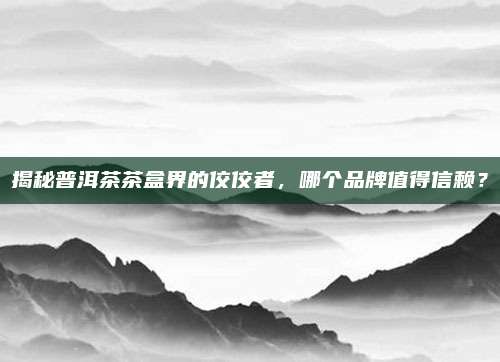 揭秘普洱茶茶盒界的佼佼者，哪个品牌值得信赖？