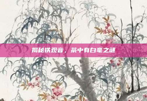 揭秘铁观音,茶中有白毫之谜
