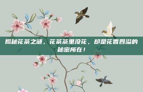 揭秘花茶之谜,花茶茶里没花,却是花香四溢的秘密所在!