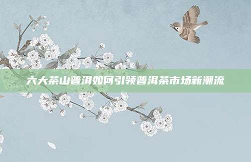 六大茶山普洱如何引领普洱茶市场新潮流