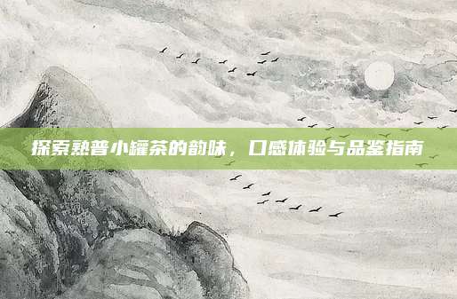 探索熟普小罐茶的韵味，口感体验与品鉴指南