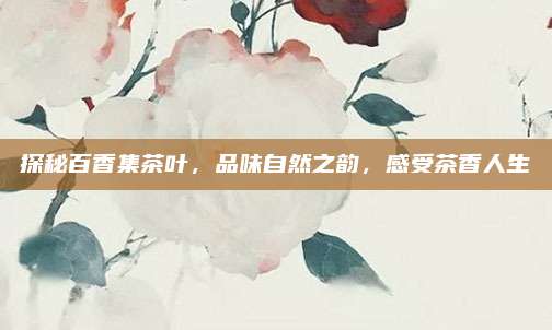 探秘百香集茶叶,品味自然之韵,感受茶香人生