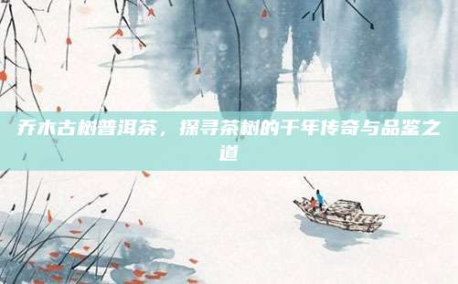乔木古树普洱茶，探寻茶树的千年传奇与品鉴之道