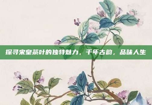 探寻宋皇茶叶的独特魅力，千年古韵，品味人生
