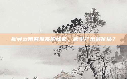 探寻云南普洱茶的秘密，哪里产出最优质？