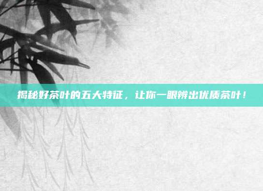 揭秘好茶叶的五大特征，让你一眼辨出优质茶叶！