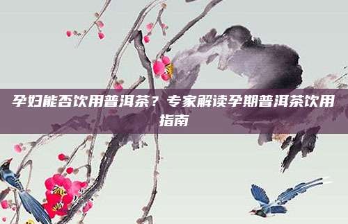 孕妇能否饮用普洱茶？专家解读孕期普洱茶饮用指南
