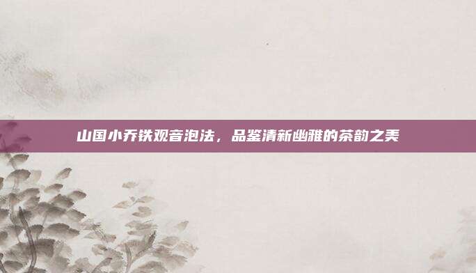 山国小乔铁观音泡法，品鉴清新幽雅的茶韵之美