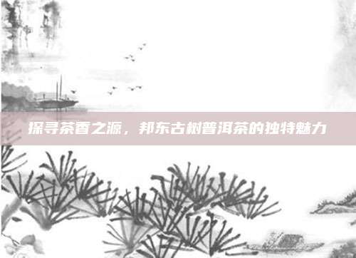 探寻茶香之源，邦东古树普洱茶的独特魅力