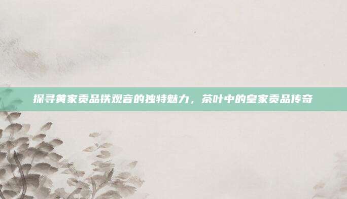 探寻黄家贡品铁观音的独特魅力,茶叶中的皇家贡品传奇