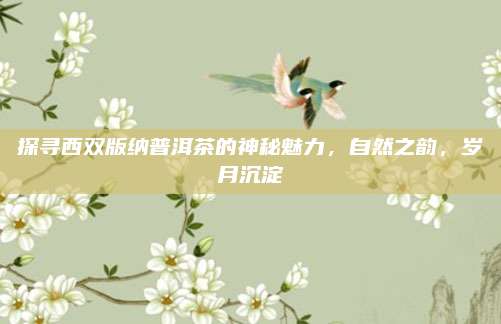 探寻西双版纳普洱茶的神秘魅力,自然之韵,岁月沉淀