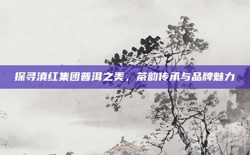 探寻滇红集团普洱之美，茶韵传承与品牌魅力