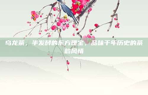乌龙茶，半发酵的东方瑰宝，品味千年历史的茶韵风情