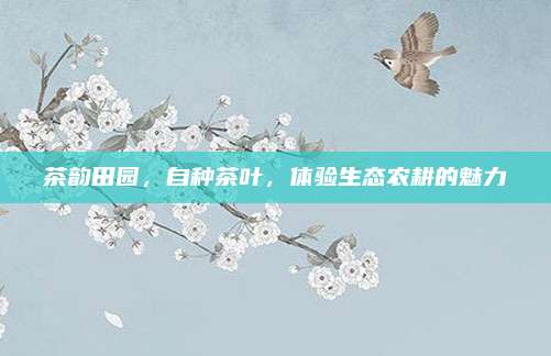 茶韵田园，自种茶叶，体验生态农耕的魅力