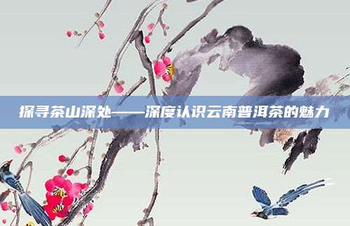 探寻茶山深处——深度认识云南普洱茶的魅力