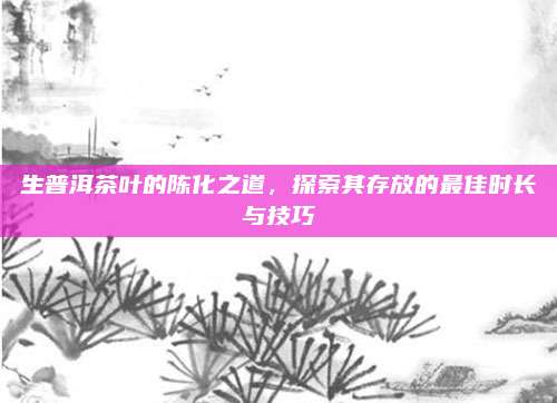 生普洱茶叶的陈化之道，探索其存放的最佳时长与技巧