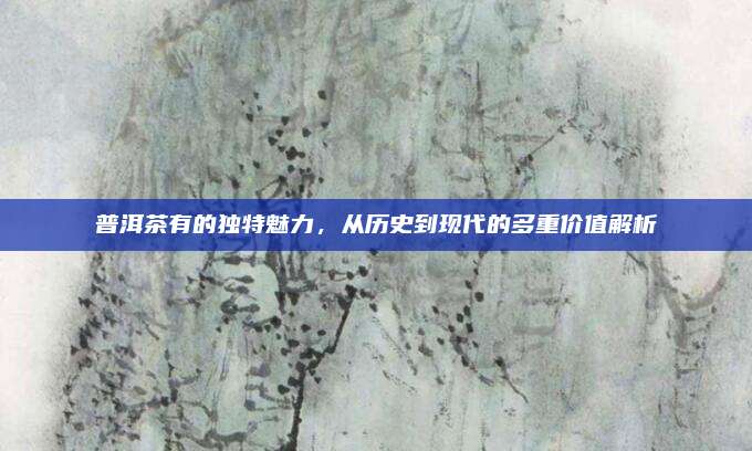 普洱茶有的独特魅力,从历史到现代的多重价值解析