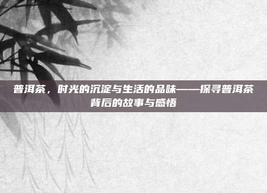 普洱茶,时光的沉淀与生活的品味——探寻普洱茶背后的故事与感悟