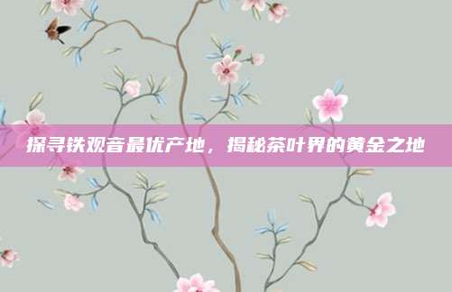 探寻铁观音最优产地,揭秘茶叶界的黄金之地