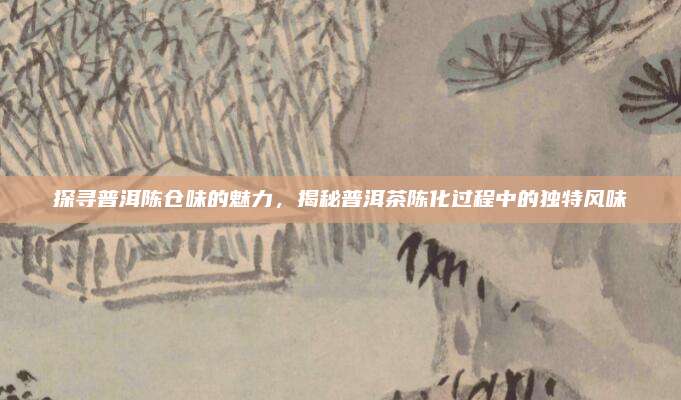 探寻普洱陈仓味的魅力,揭秘普洱茶陈化过程中的独特风味