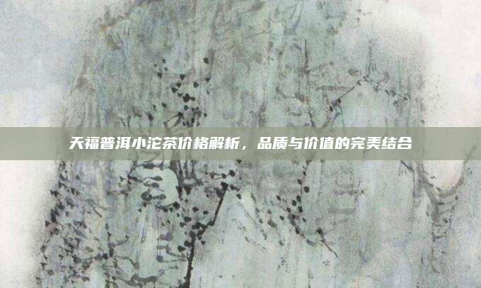 天福普洱小沱茶价格解析，品质与价值的完美结合