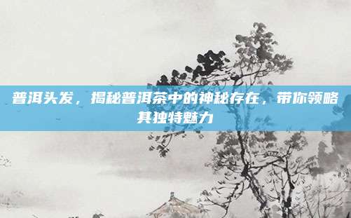 普洱头发,揭秘普洱茶中的神秘存在,带你领略其独特魅力