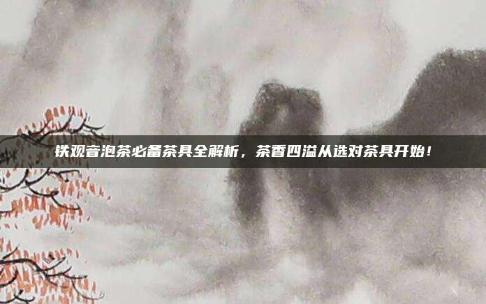 铁观音泡茶必备茶具全解析，茶香四溢从选对茶具开始！