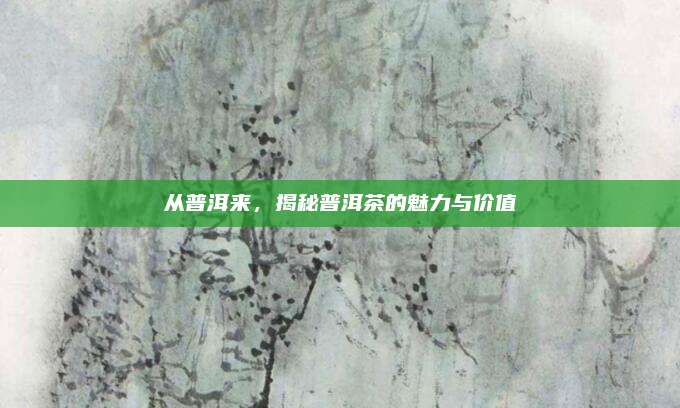 从普洱来，揭秘普洱茶的魅力与价值