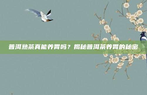 普洱熟茶真能养胃吗?揭秘普洱茶养胃的秘密