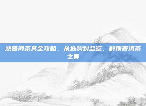 熟普洱茶具全攻略,从选购到品鉴,解锁普洱茶之美