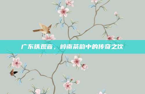广东铁观音,岭南茶韵中的传奇之饮