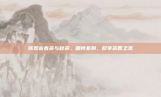 铁观音春茶与秋茶,细辨差别,尽享茶香之美