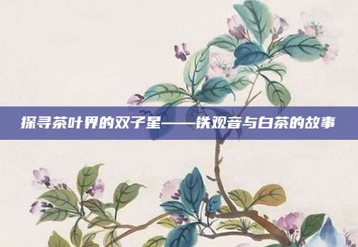 探寻茶叶界的双子星——铁观音与白茶的故事