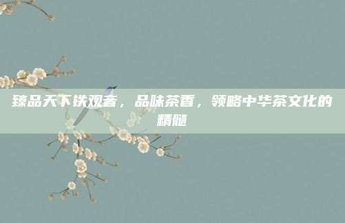臻品天下铁观音，品味茶香，领略中华茶文化的精髓