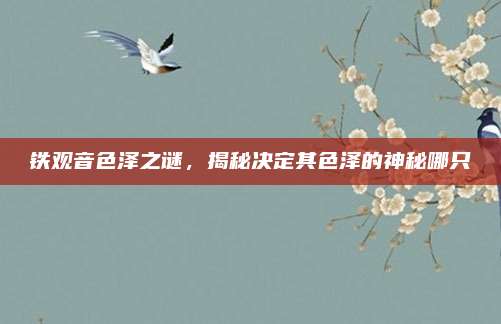 铁观音色泽之谜，揭秘决定其色泽的神秘哪只