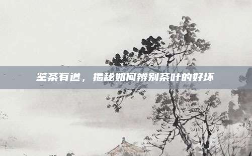 鉴茶有道,揭秘如何辨别茶叶的好坏