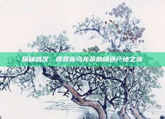探秘武汉,铁观音乌龙茶的绿色产地之旅