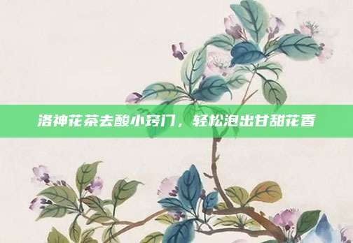 洛神花茶去酸小窍门,轻松泡出甘甜花香