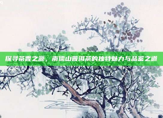 探寻茶香之源,南儒山普洱茶的独特魅力与品鉴之道