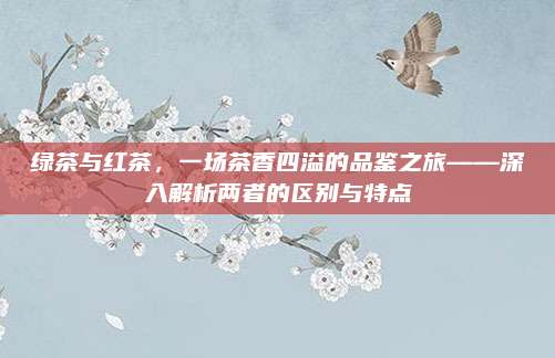 绿茶与红茶，一场茶香四溢的品鉴之旅——深入解析两者的区别与特点